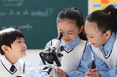 欧文教育